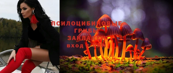 прущая мука Армянск