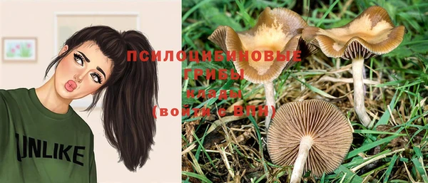 трава Балабаново